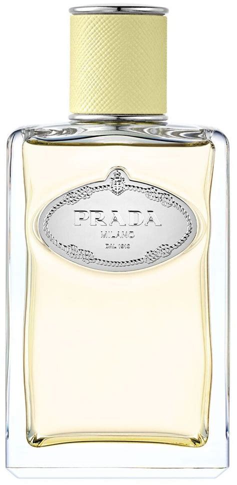 prada infusion gingembre eau de parfum|Infusion de Gingembre Prada for women and men .